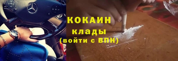 дживик Покров