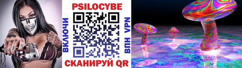 Псилоцибиновые грибы Psilocybe  Коммунар 
